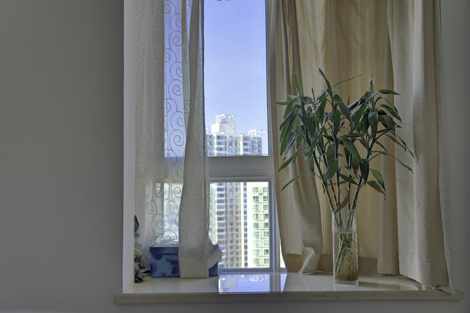 HDR 窗台上的富贵竹