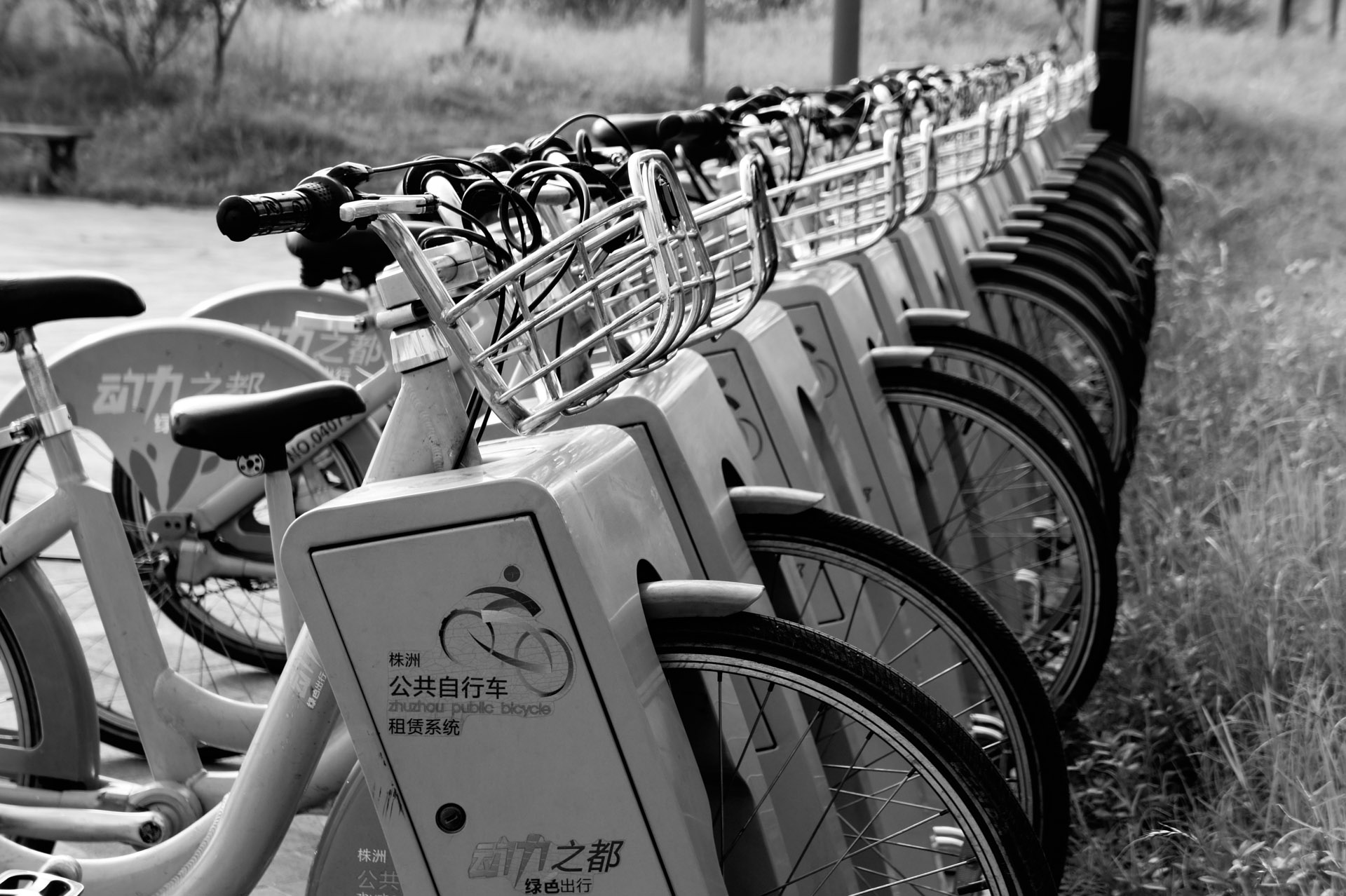 株洲市的绿色交通自行车