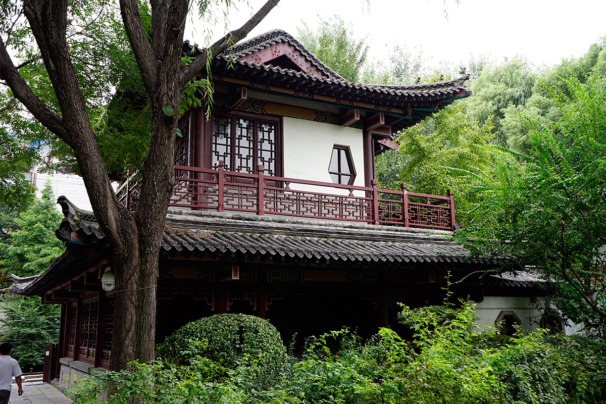 趵突泉公园内景