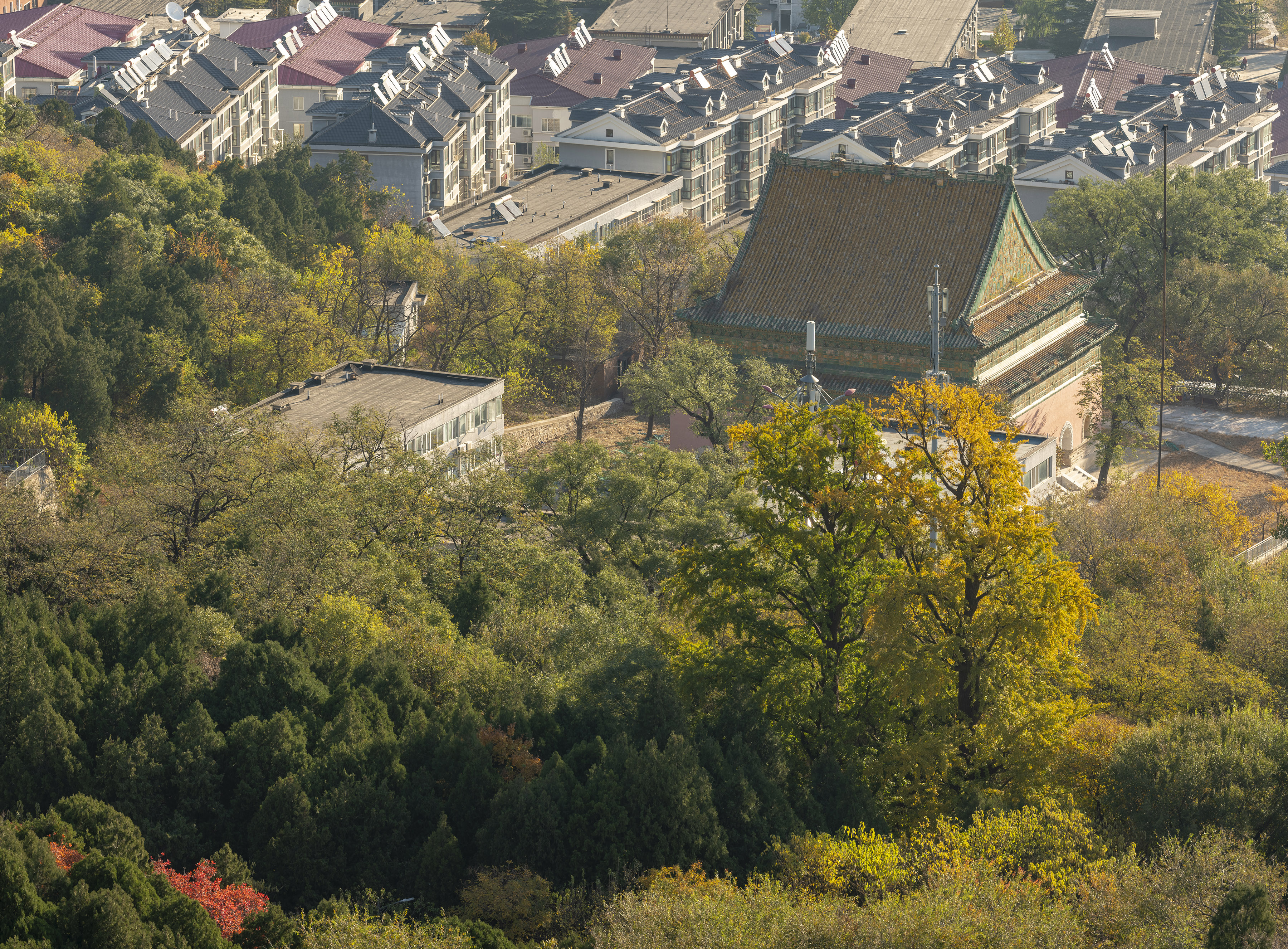 深秋还绿中的西山森林公园