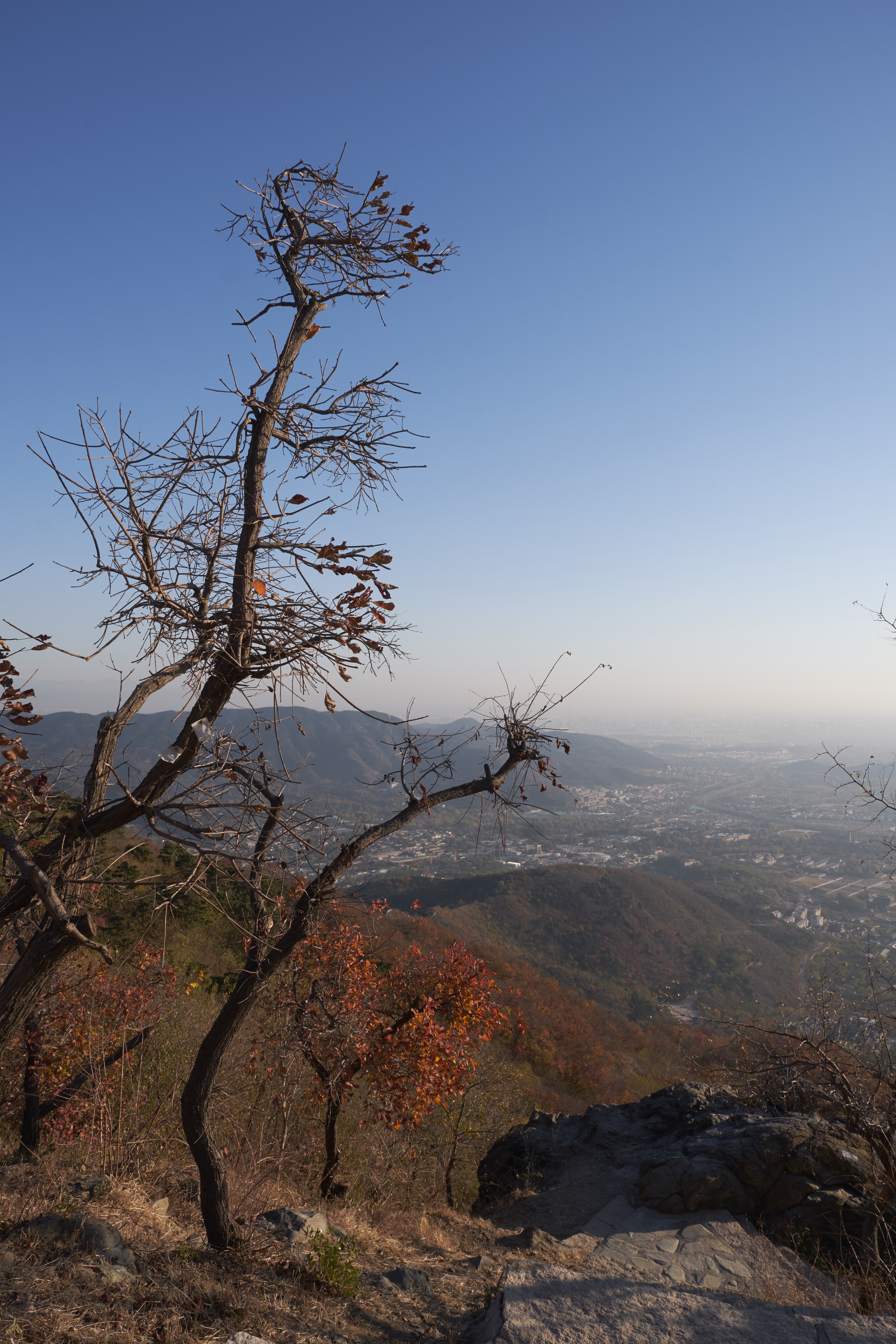 西山森林公园步道边
